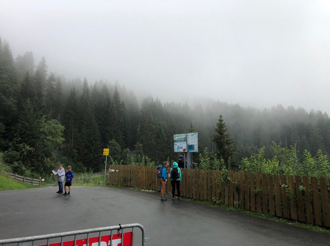 Hornpark-圣约翰堤候必去景点