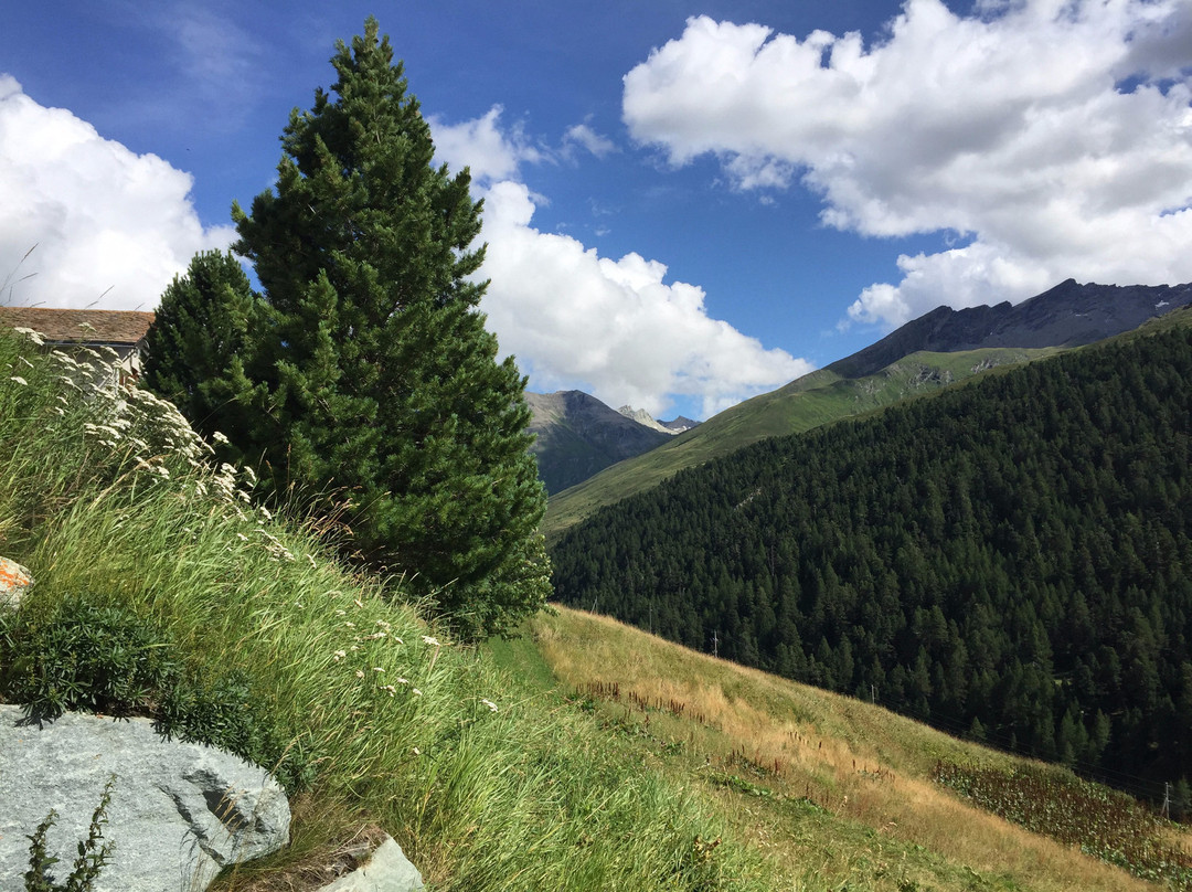 Hotel & Restaurant Capetta主图