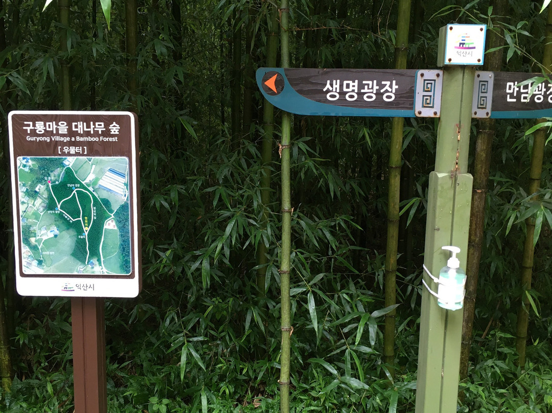 Guryong Village Bamboo Forest-益山市必去景点