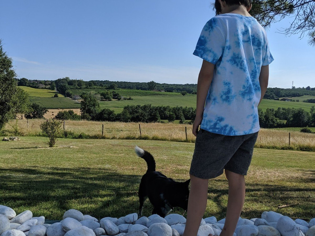 Manoir de Gaboria主图