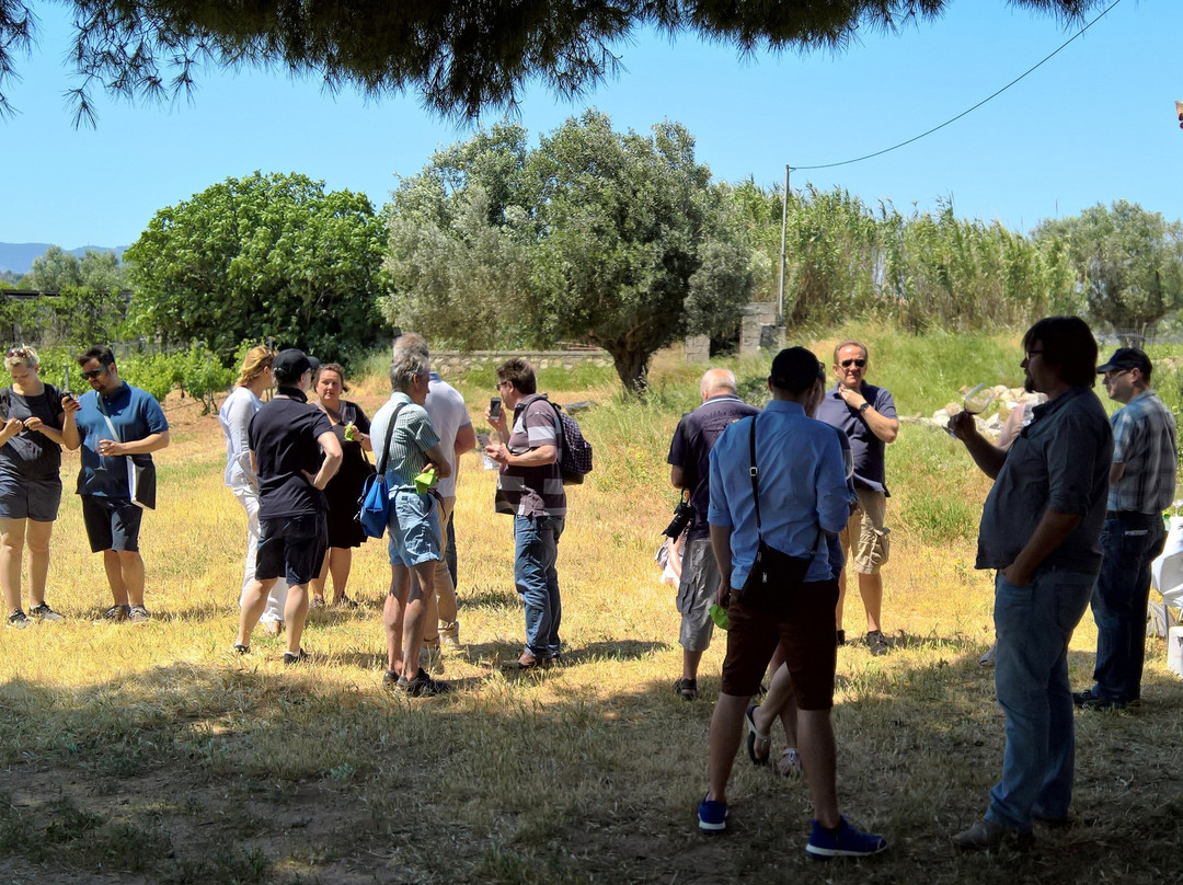 Georga΄s Family-斯巴达必去景点