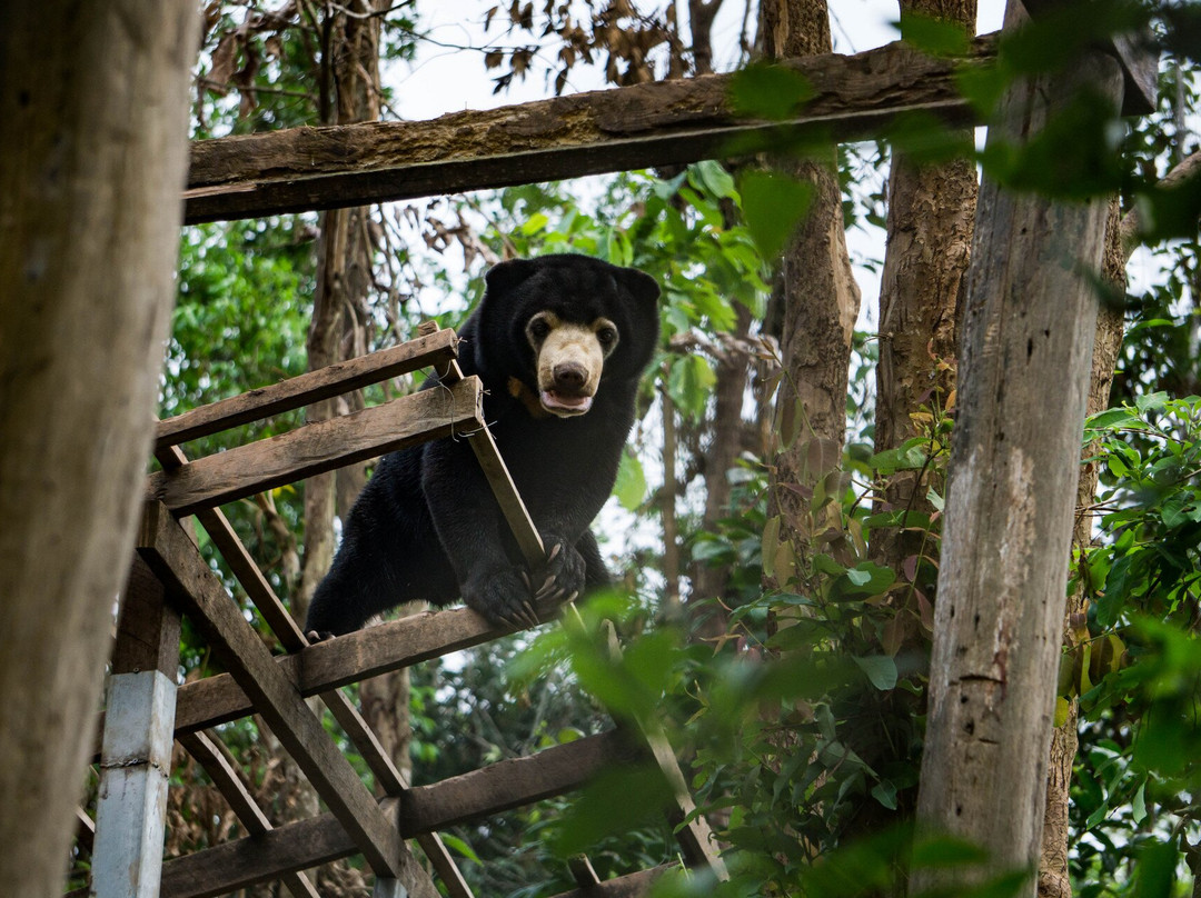Animal Sanctuary Laos景点图片
