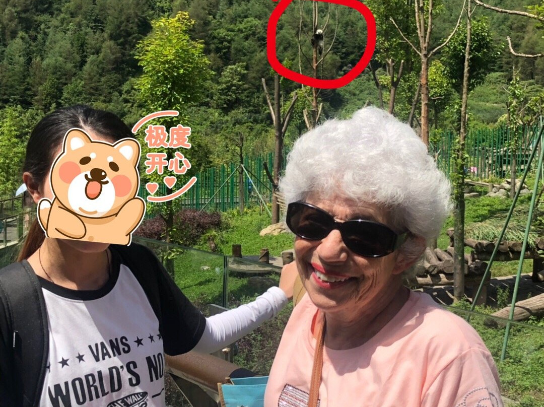 Hold Panda-成都必去景点