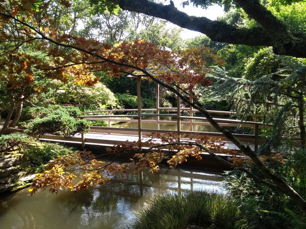 The Japanese Garden景点图片