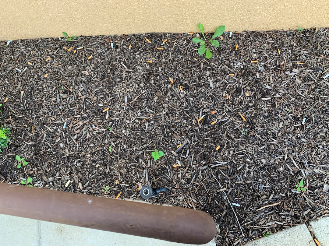 Hometowne Studios By Red Roof Chantilly主图