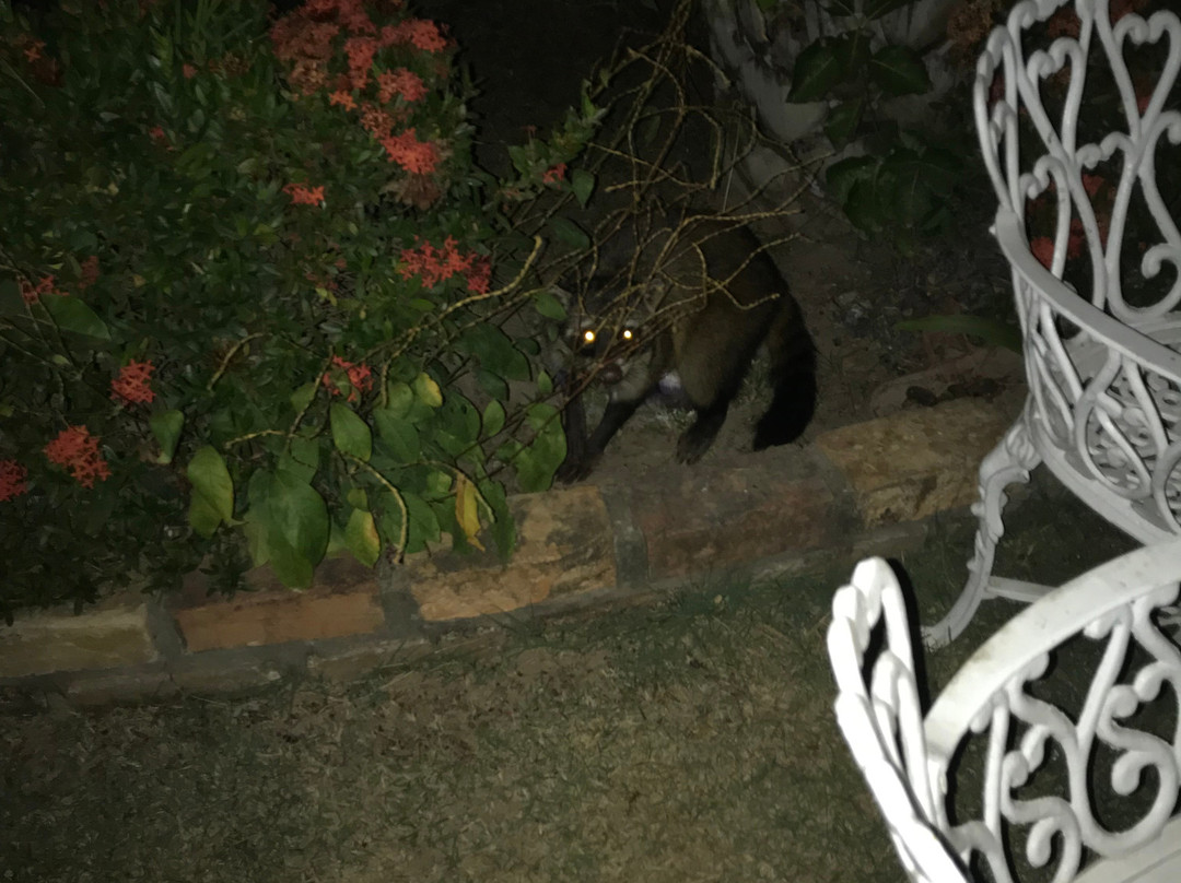 Pousada Canto do Arancua主图