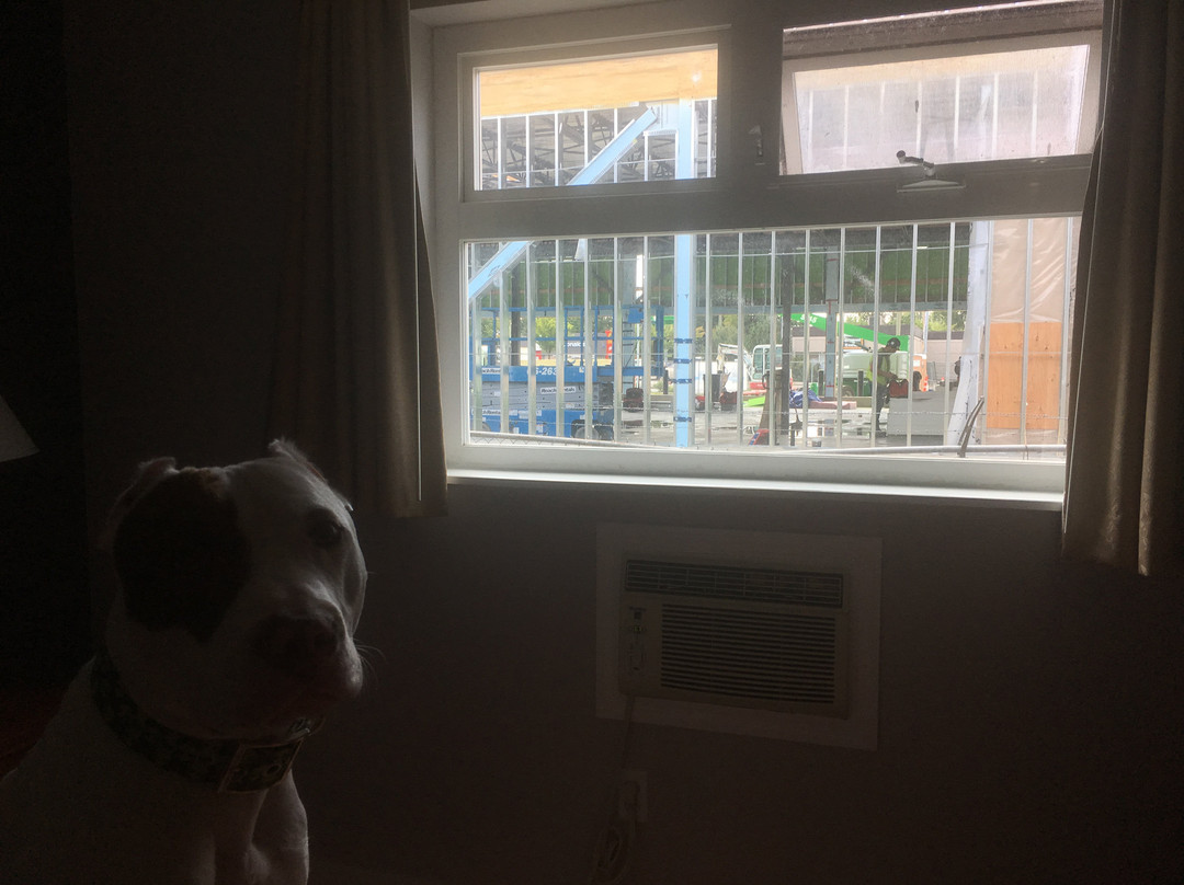 Travelodge by Wyndham Langley主图