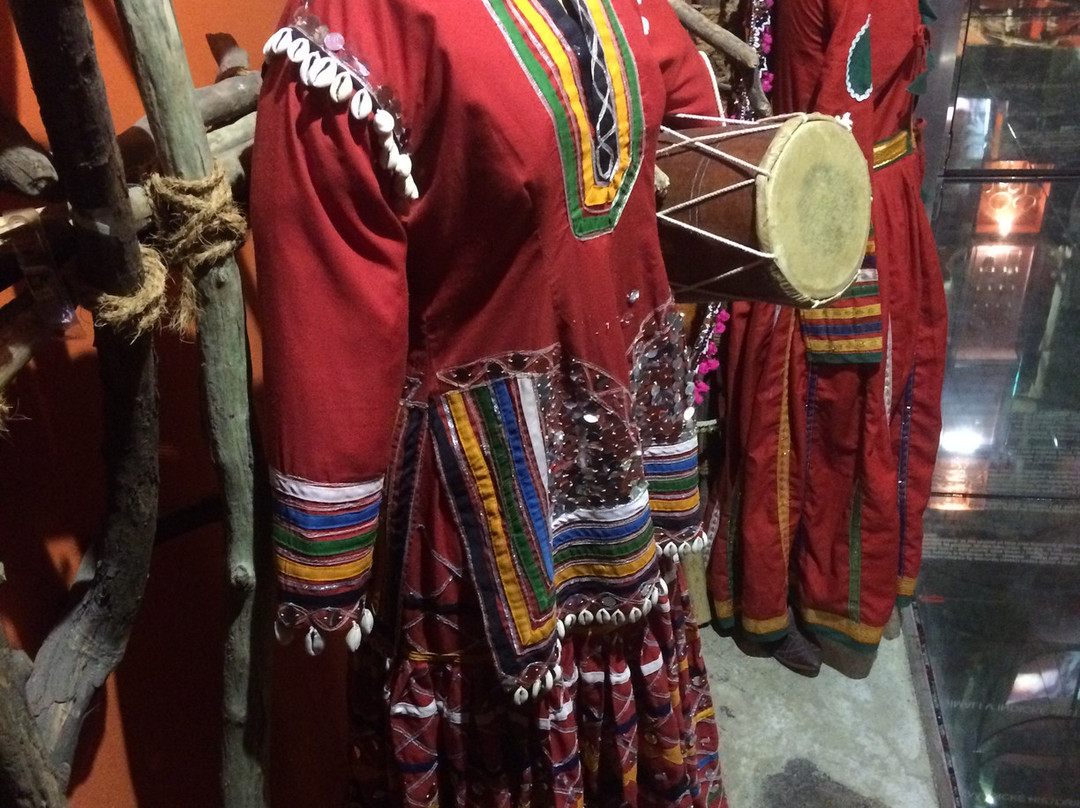 Museum Of Romani Culture-布尔诺必去景点