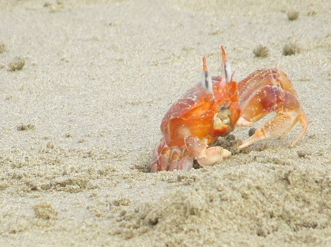 Punta Mero Suites and Resort主图