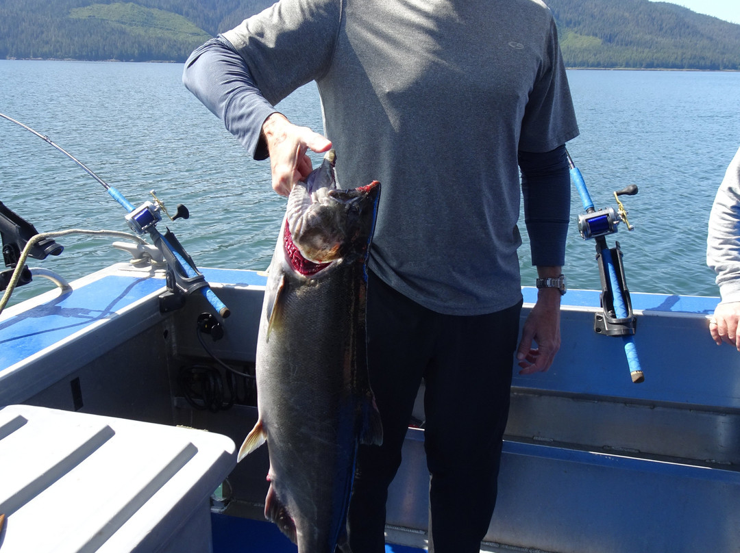 Night N Gale Charters-Wrangell必去景点