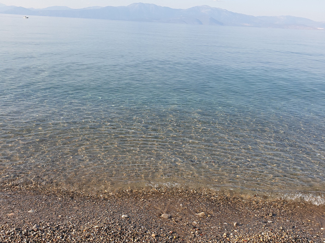 Aqua Mare Resort主图