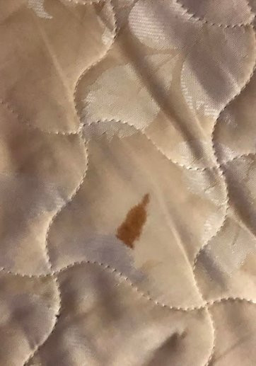 Extended Stay America - Birmingham - Perimeter Park South主图