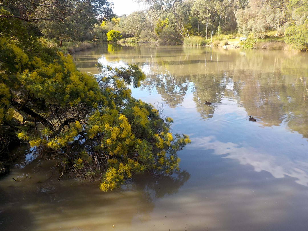 Ringwood Lake景点图片