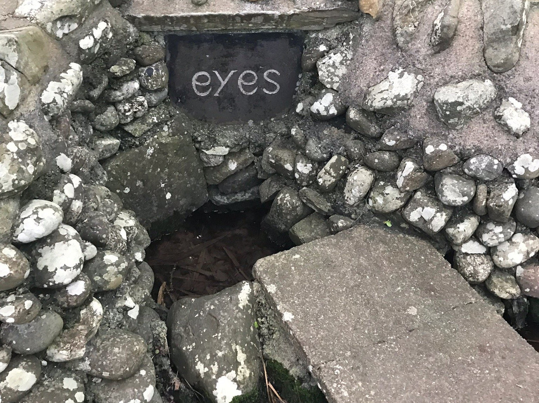 St Cooey's Wells景点图片