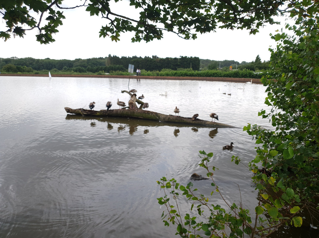 Earlswood Common景点图片