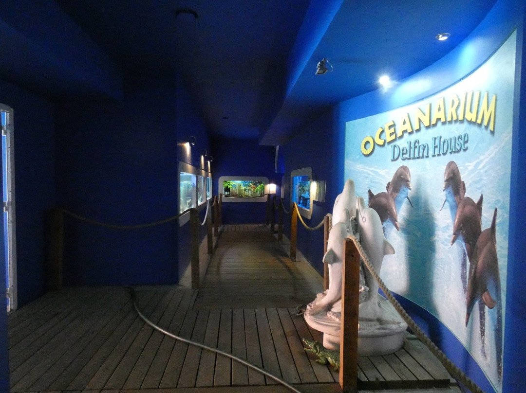 Oceanarium Łeba景点图片