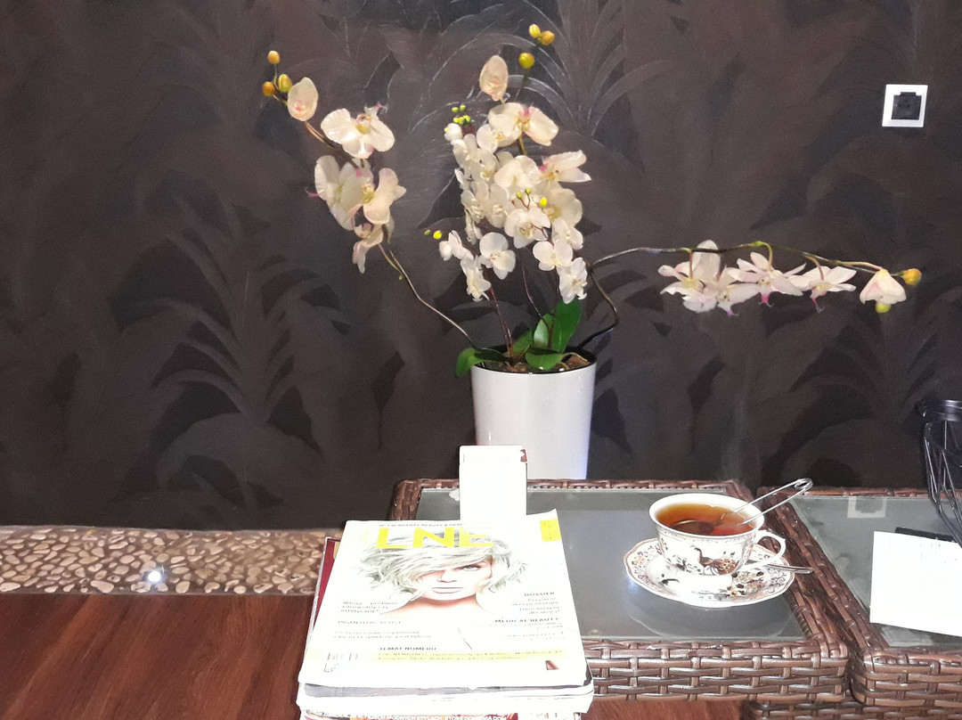 Hotel Bialowieski Conference Wellness & Spa主图