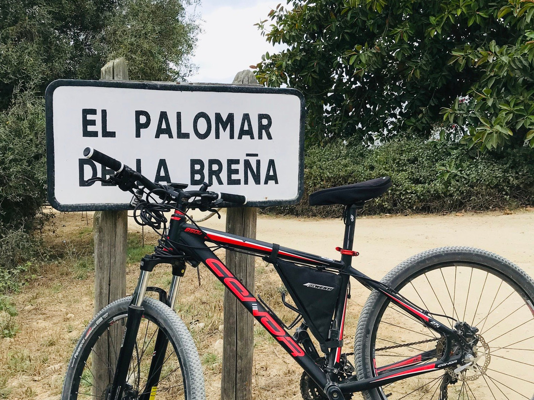 Bicicletas Francisco景点图片