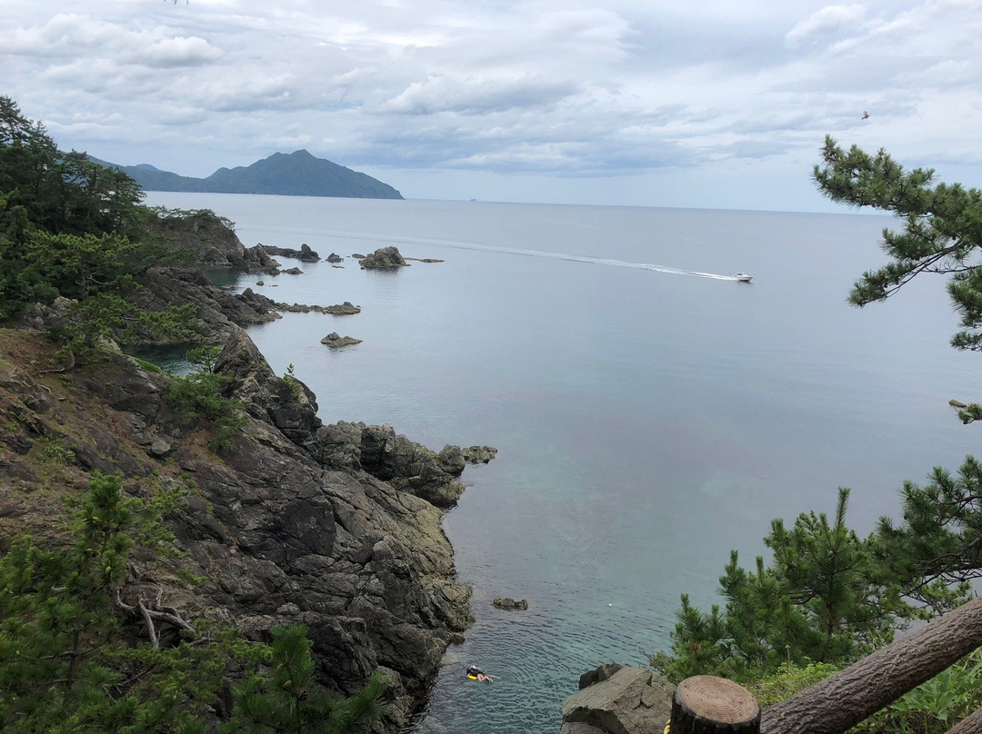 Shiroyama Park景点图片