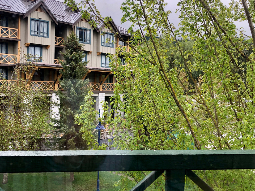 顶峰惠斯勒酒店主图