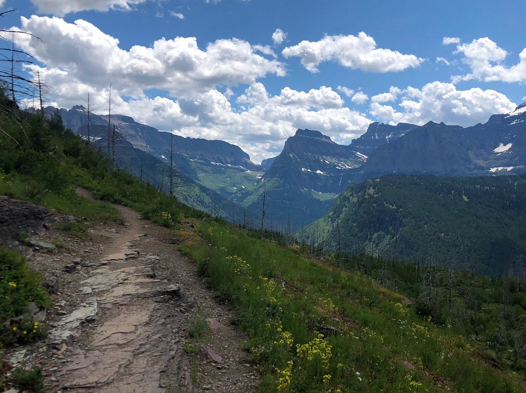 Granite Park Trail景点图片