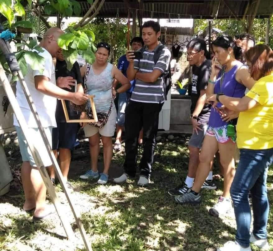 Omoyon Bee Farm-杜马盖地必去景点