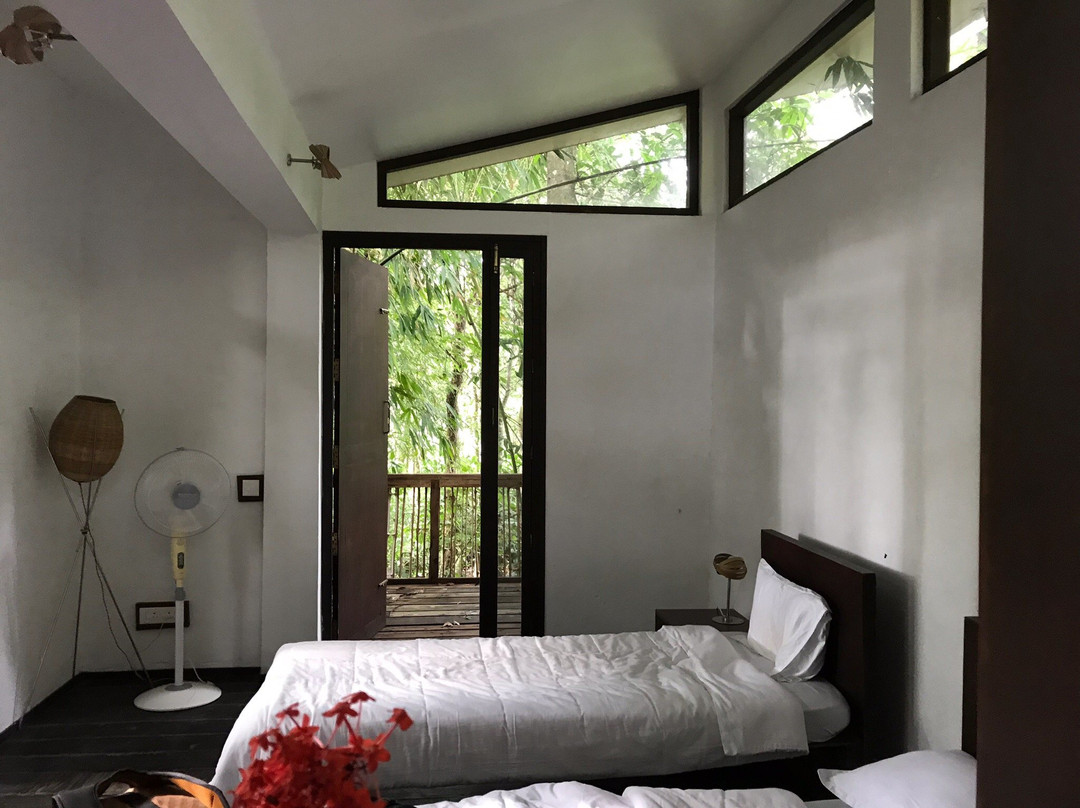 Uravu Bamboo Grove - A Wandertrails Showcase主图