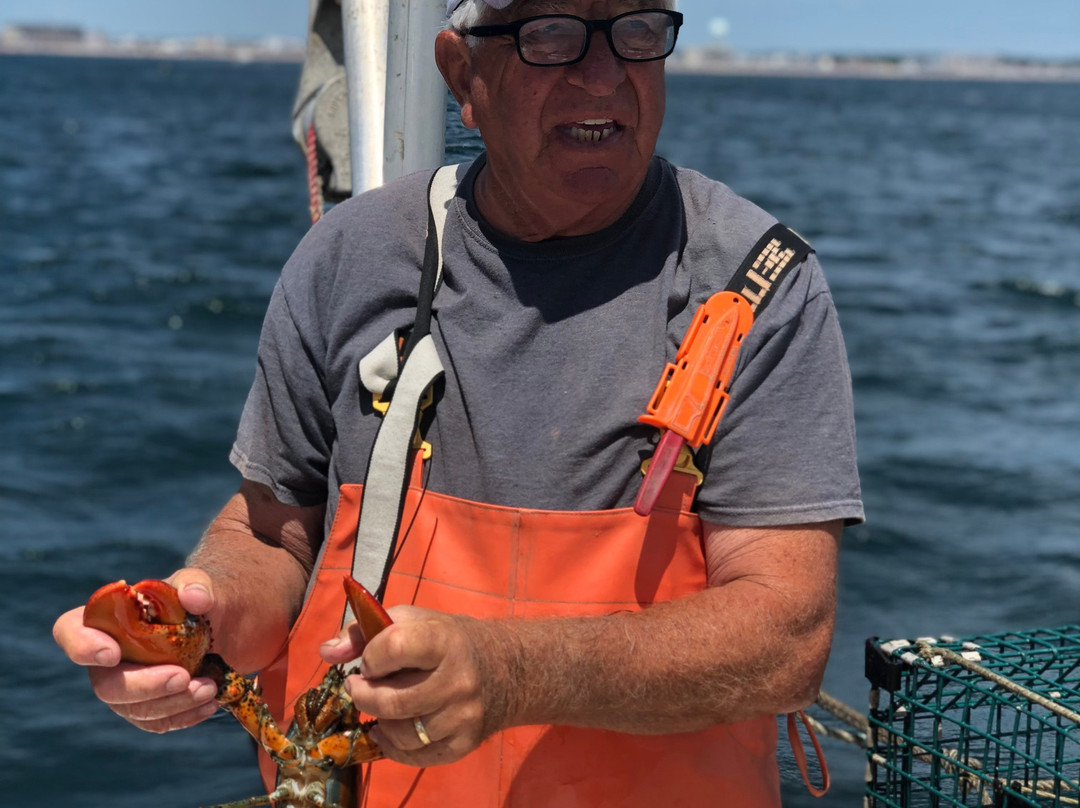 Sunrise Adventure Charters and Lobster Tours-汉普顿必去景点