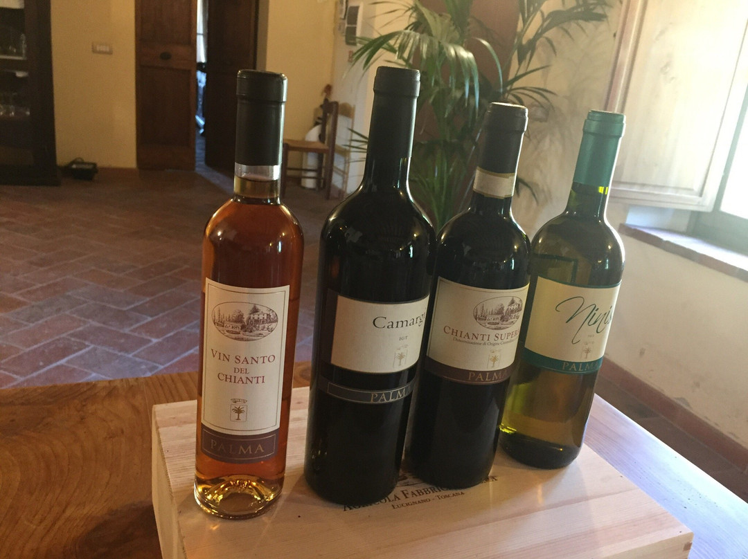 Vini di Toscana srl景点图片
