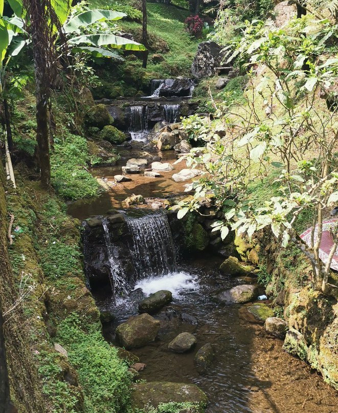 Parang Ijo Waterfalls景点图片