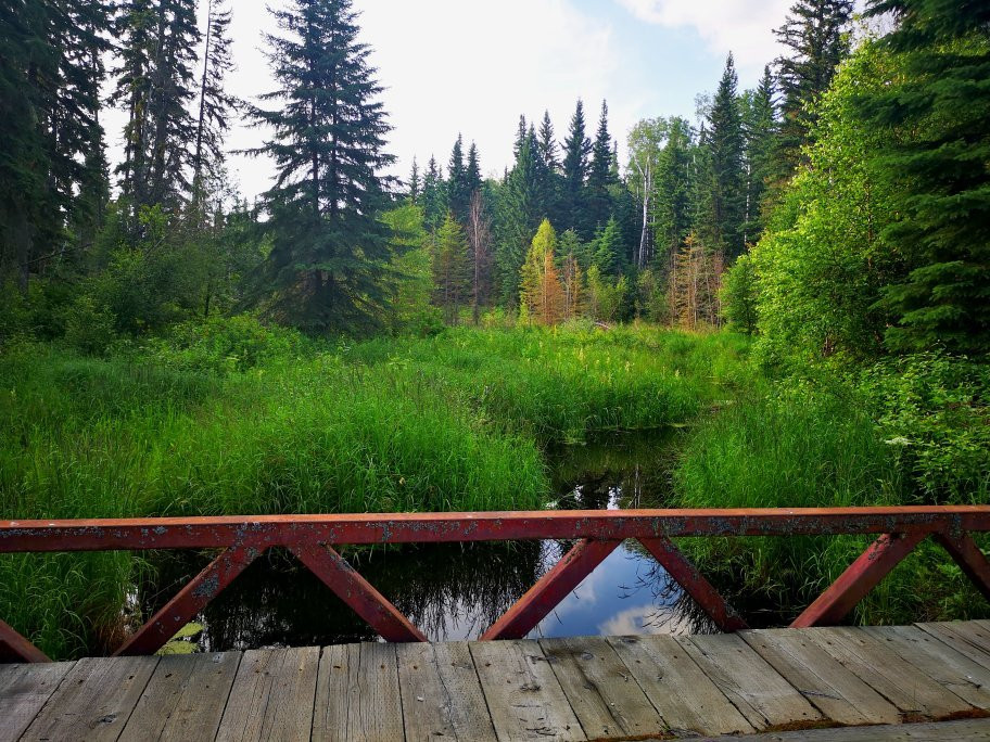 Young's Point Provincial Park-Valleyview必去景点