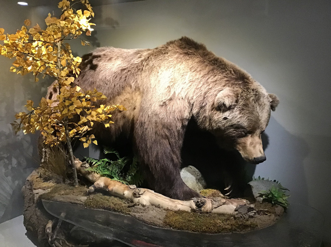 图腾酒店及套房主图