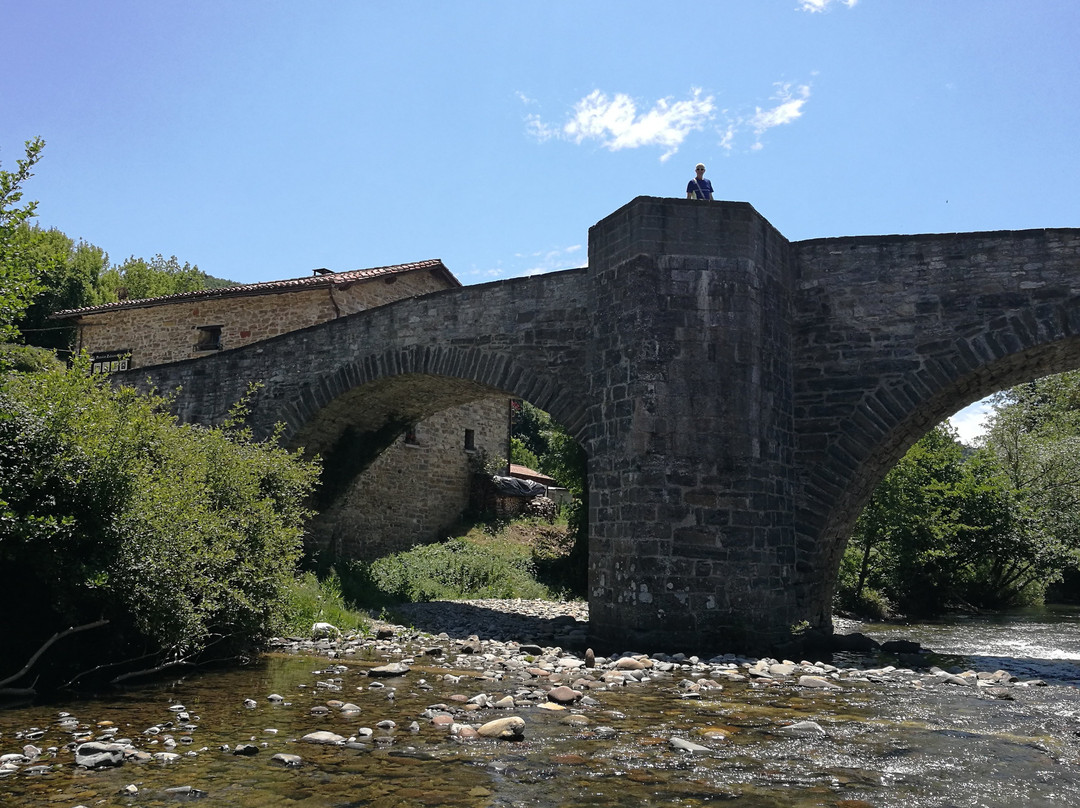 Puente de la Rabia-Zubiri必去景点