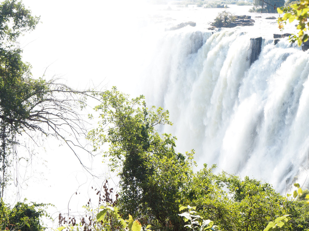 Destined Travel and Tours-卢萨卡必去景点