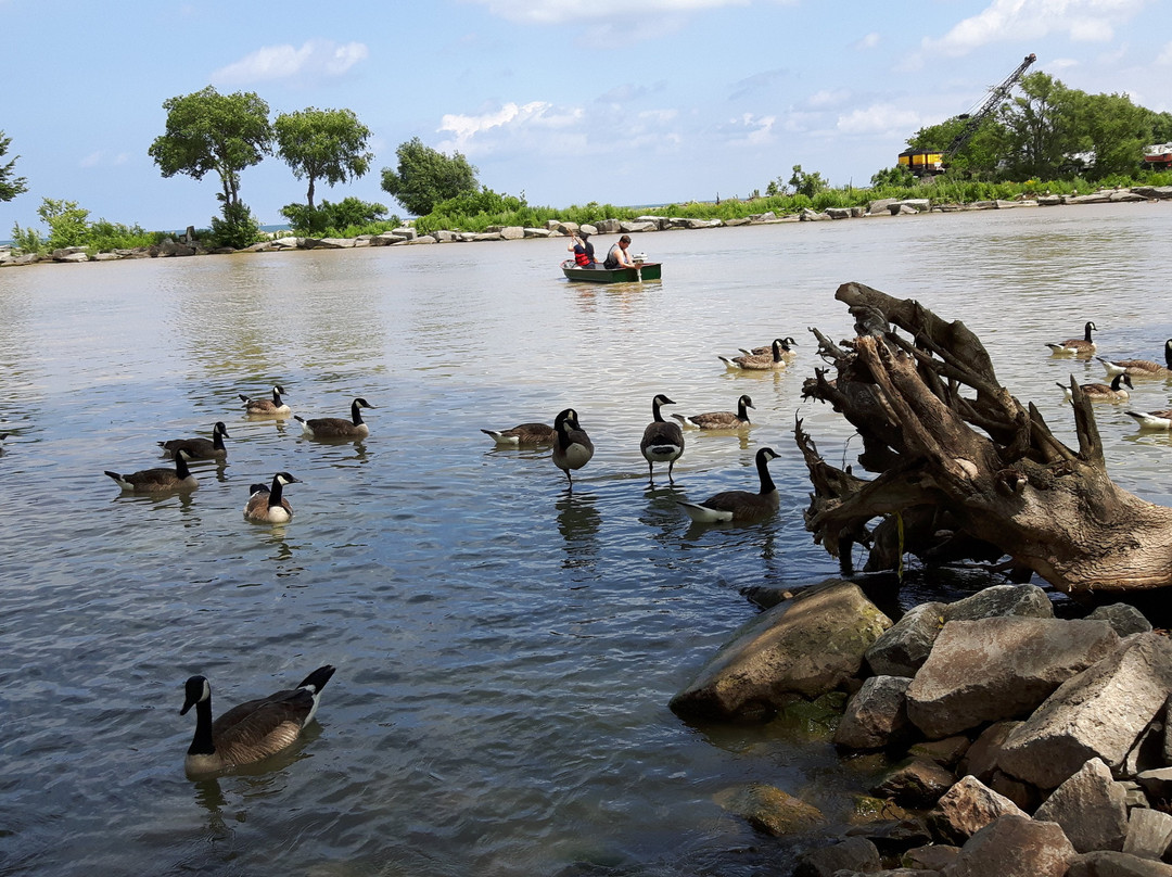 Forty Mile Creek Trails-格里姆斯比必去景点