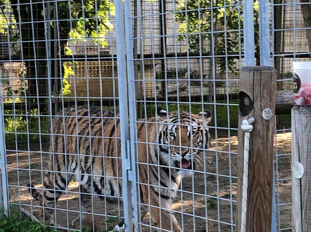 Tiger Experience-Campolongo Maggiore必去景点