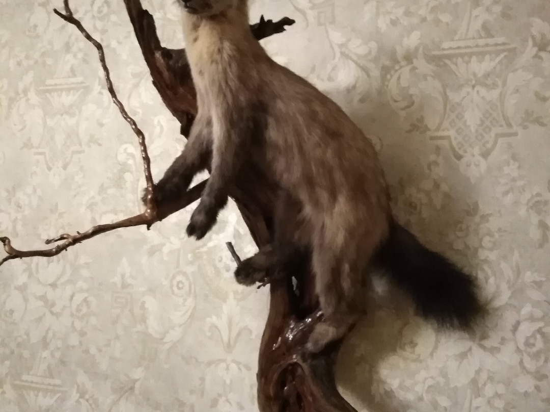 Hotel-Club Au Rooms主图