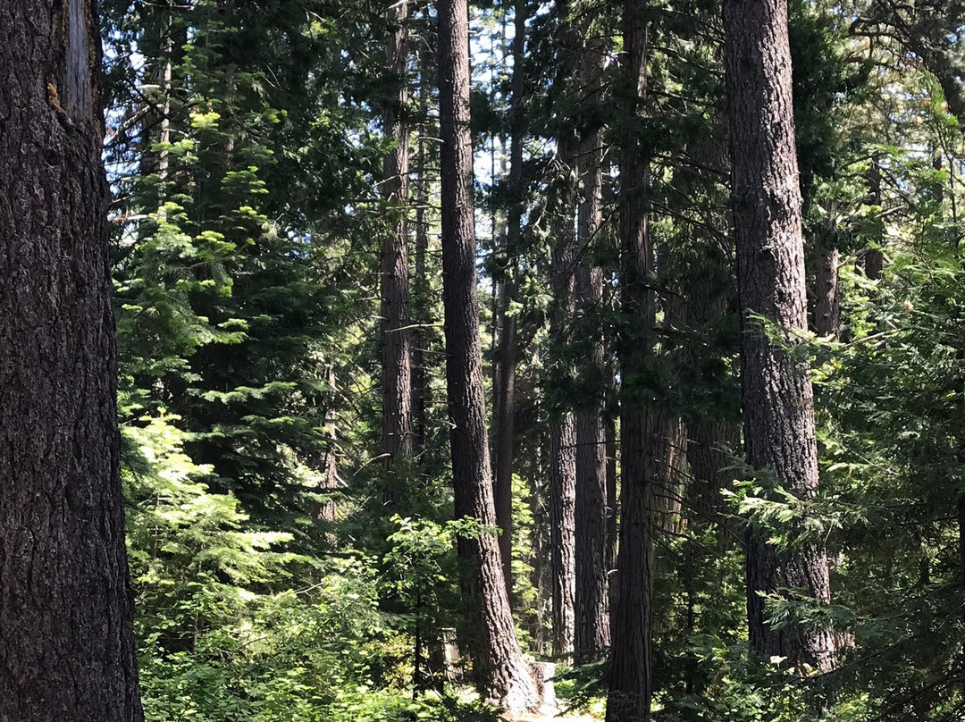 Skylandia Park-塔霍城必去景点