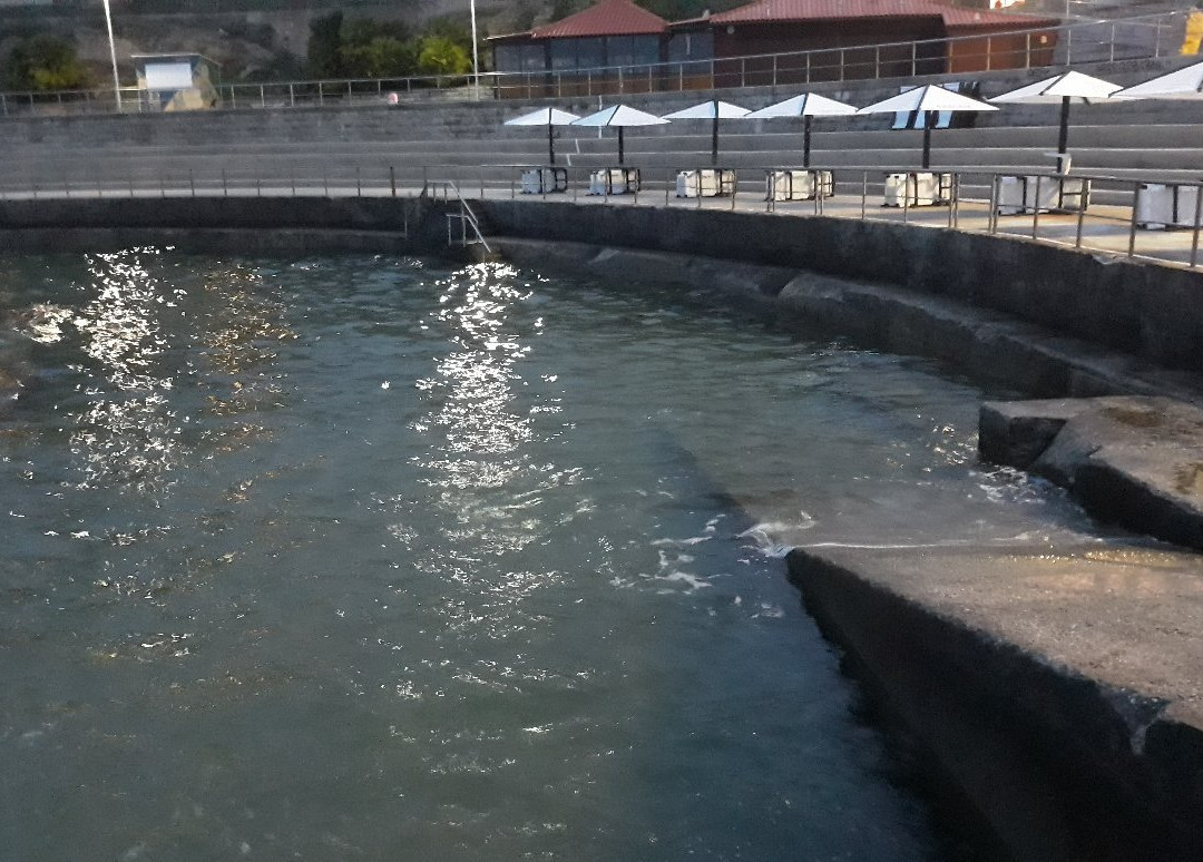 Piscina Oceânica Alberto Romano-卡斯凯什必去景点
