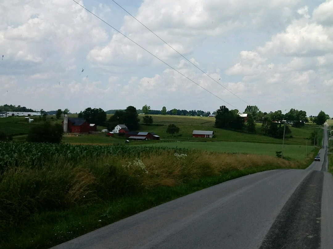 Amish Heartland Tours景点图片