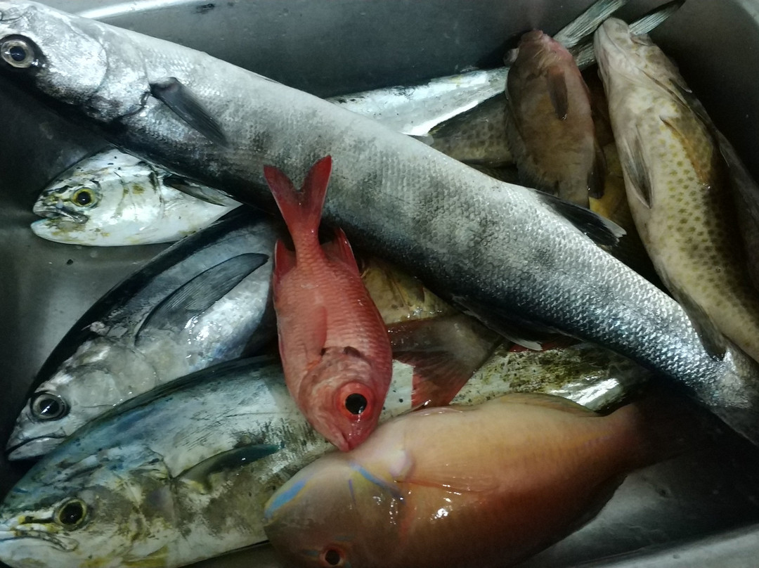 Funthaisea Game Fishing-拉威必去景点