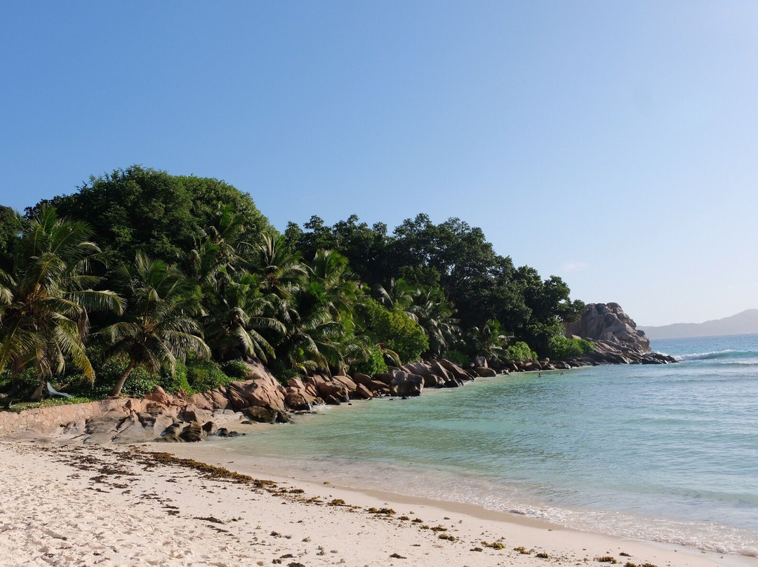 Tanette's Villa主图