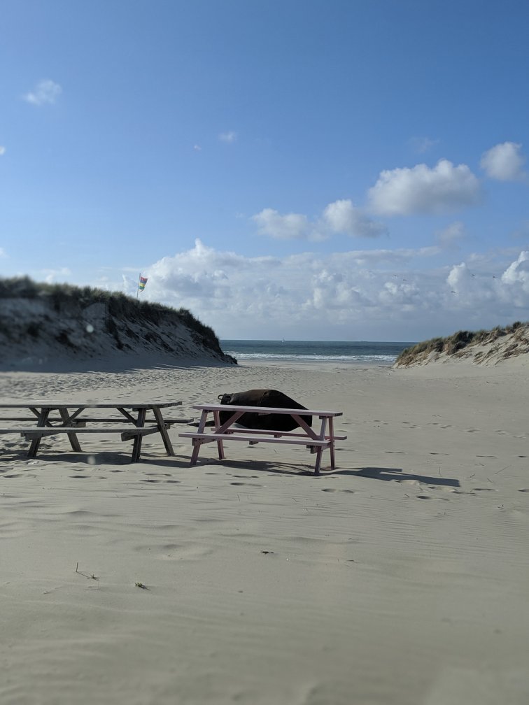Strandhotel Terschelling-官方
