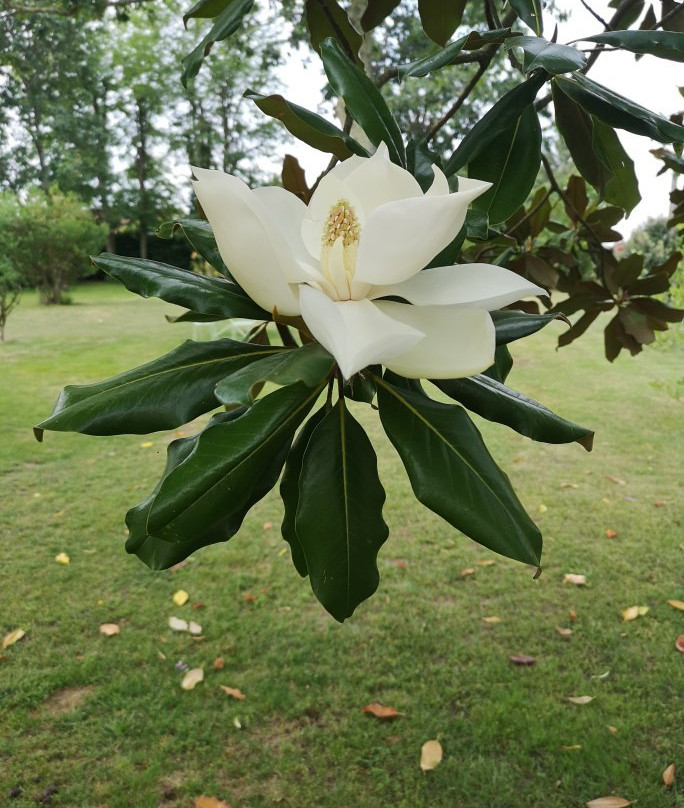 Chambres d'hotes du Bocage主图