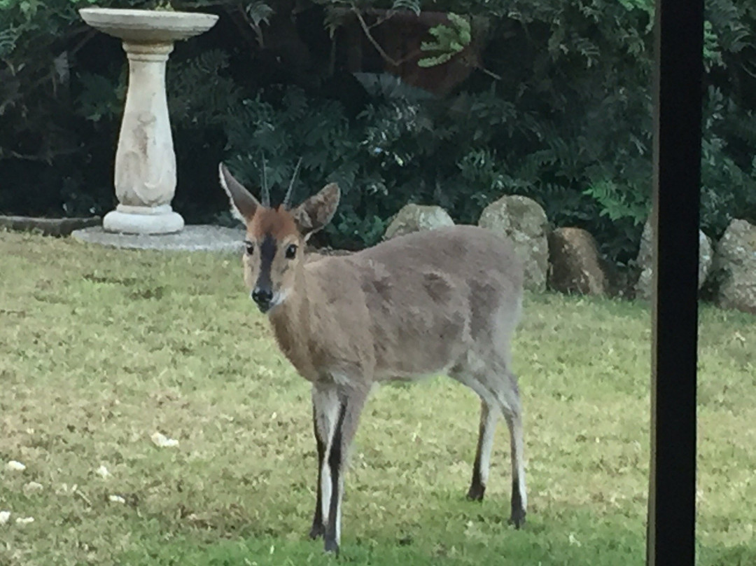 Thatchings Guest House主图