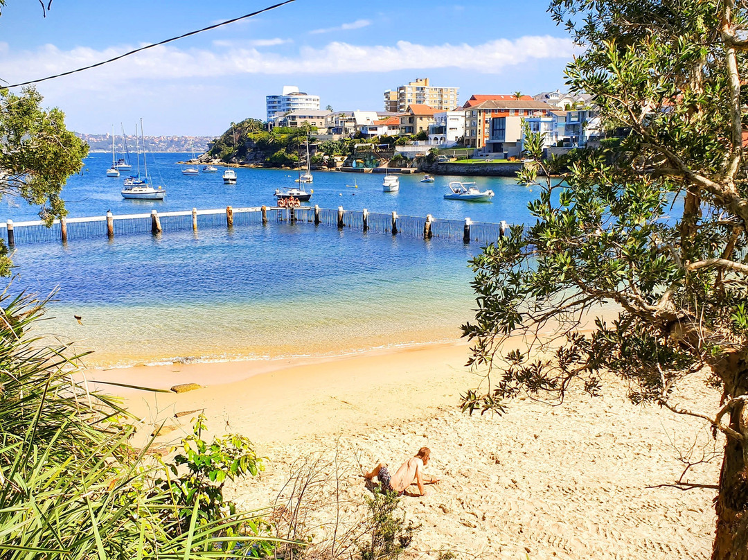 Little Manly Beach景点图片