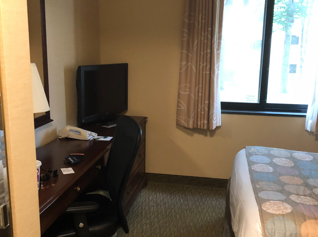 威廉博尔格中心酒店主图