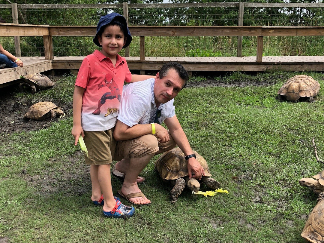 Crocodile Encounter-Angleton必去景点