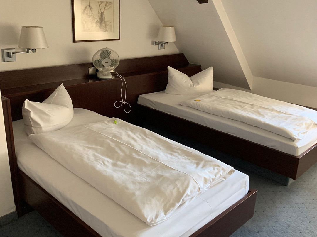 Hotel Goldener Adler主图