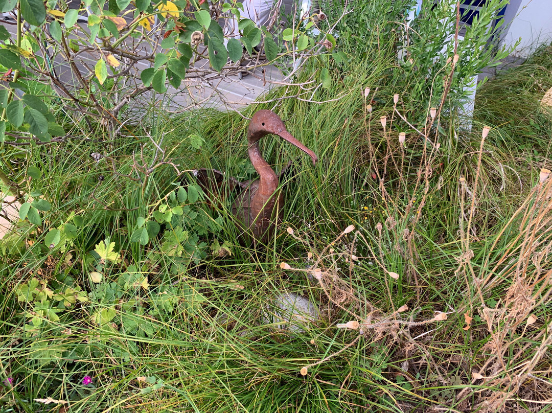 Villa Teranga Hotel主图